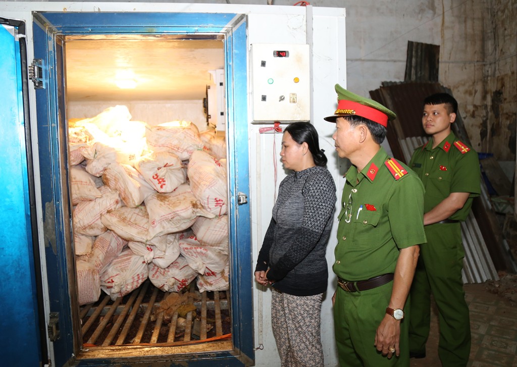 Đồng Nai: Bắt Lê Thị Bích Phượng vì mua heo bệnh dịch tả heo châu Phi - Ảnh 1.