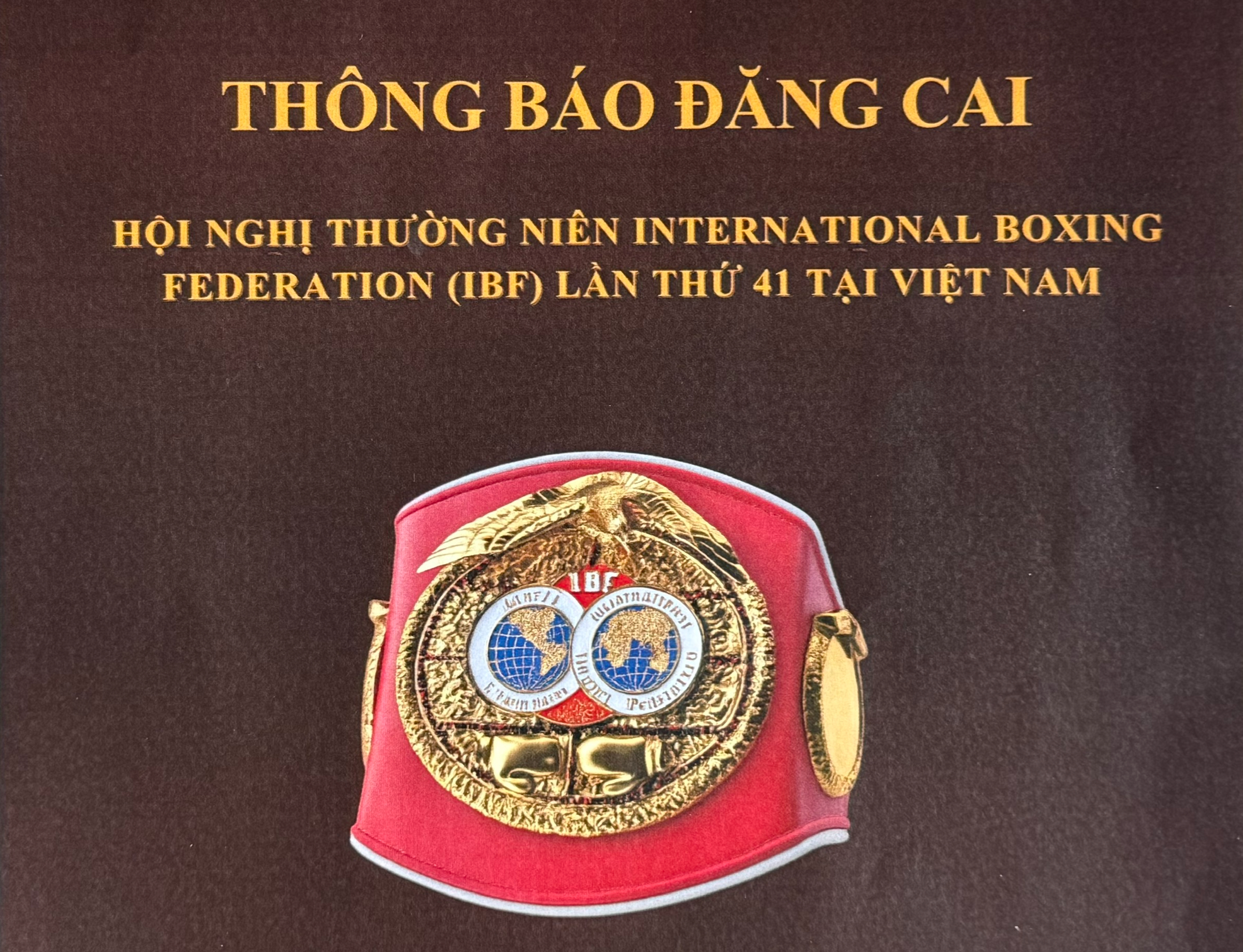 Li&ecirc;n đo&agrave;n Quyền Anh quốc tế sẽ tổ chức hội nghị thường ni&ecirc;n ở Việt Nam - Ảnh 3.