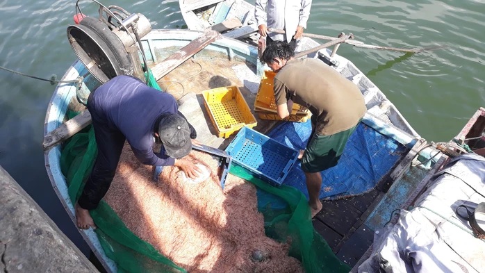 Ruốc biển dày đặc ven bờ, ngư dân phố biển Quy Nhơn “hốt bạc” sau vài giờ ra khơi - Ảnh 3.