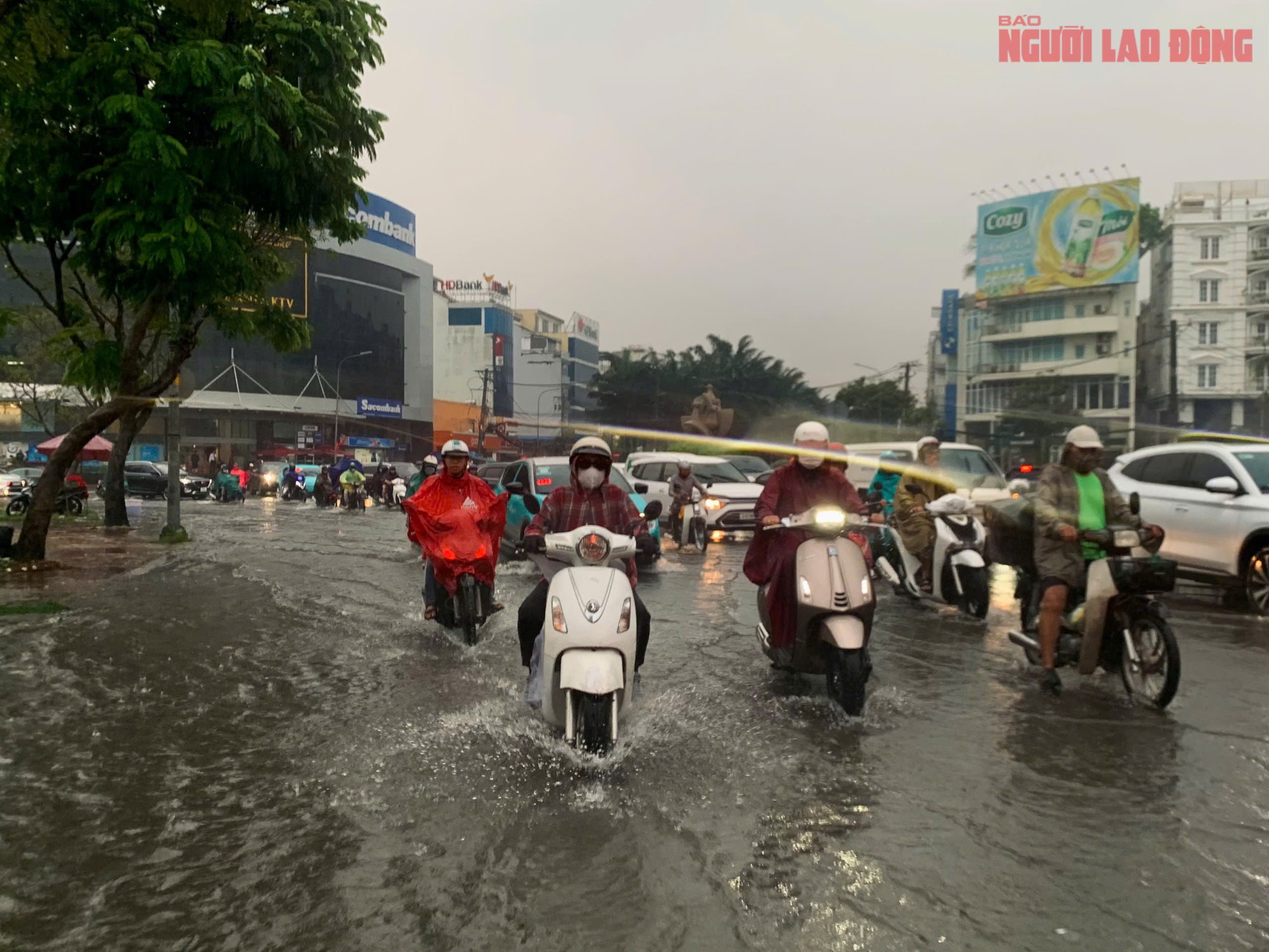 Thời tiết TPHCM u ám và mưa to giữa mùa khô tháng 1 - 2026 - Ảnh 1.