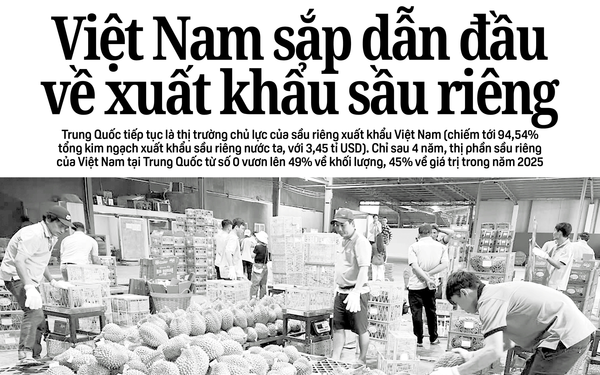 Báo in ngày 7-1: Vỡ mộng thú chơi rồng Nam Mỹ