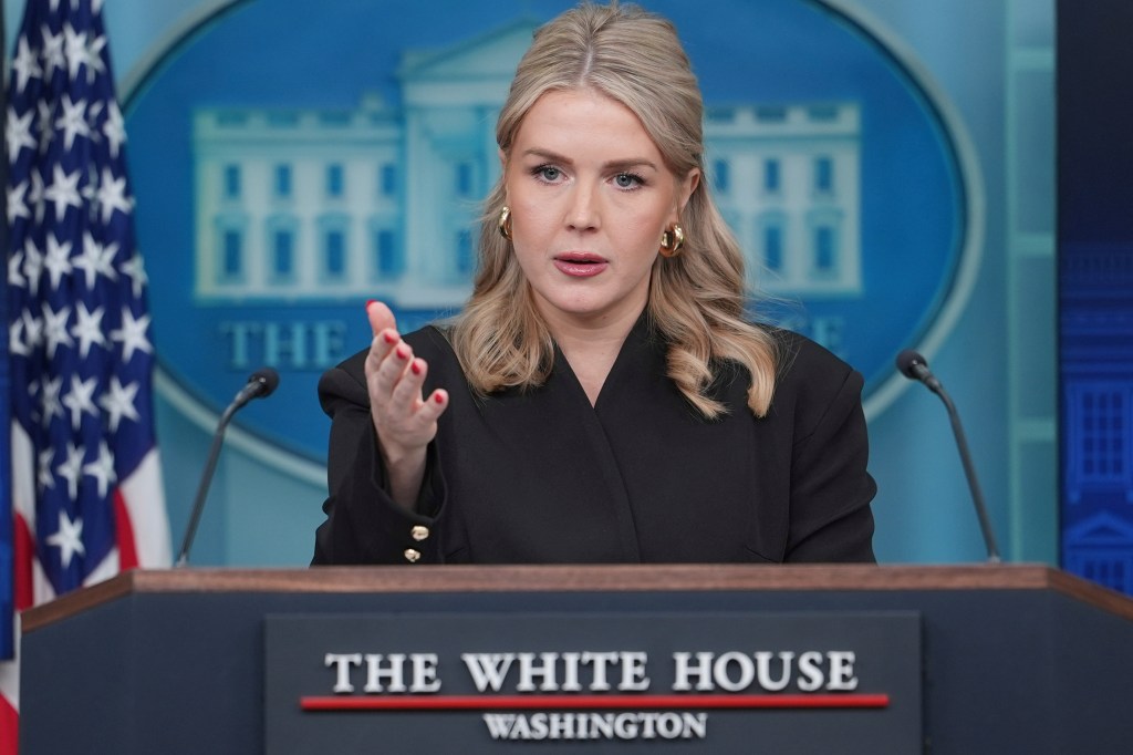 Ông Donald Trump tính đường thâu tóm Greenland - Ảnh 1.