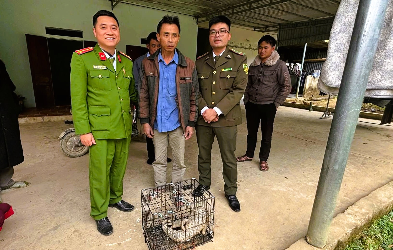 Hai con vật quý hiếm trong sách đỏ đi lạc vào nhà dân - Ảnh 1.