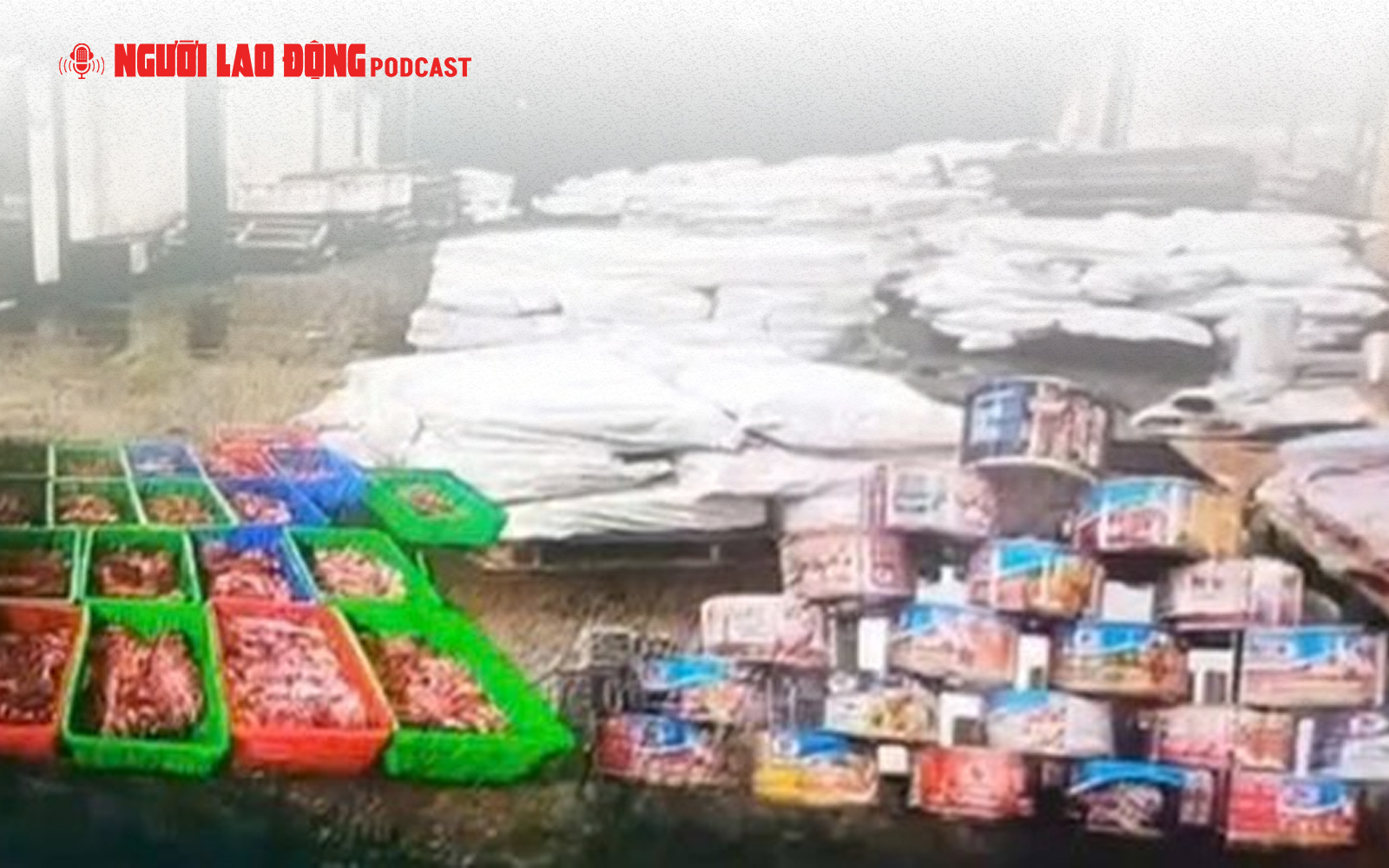 Phá đường dây giết mổ, tiêu thụ 3.600 con heo bệnh, khởi tố 8 bị can - Ảnh 2.
