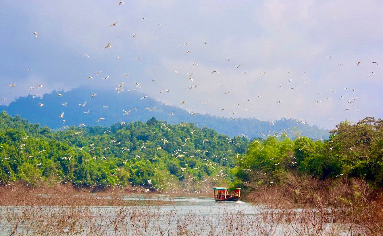 Ngắm vẽ đẹp hoang sơ, kỳ vĩ tại Vườn quốc gia Vũ Quang - Ảnh 11.
