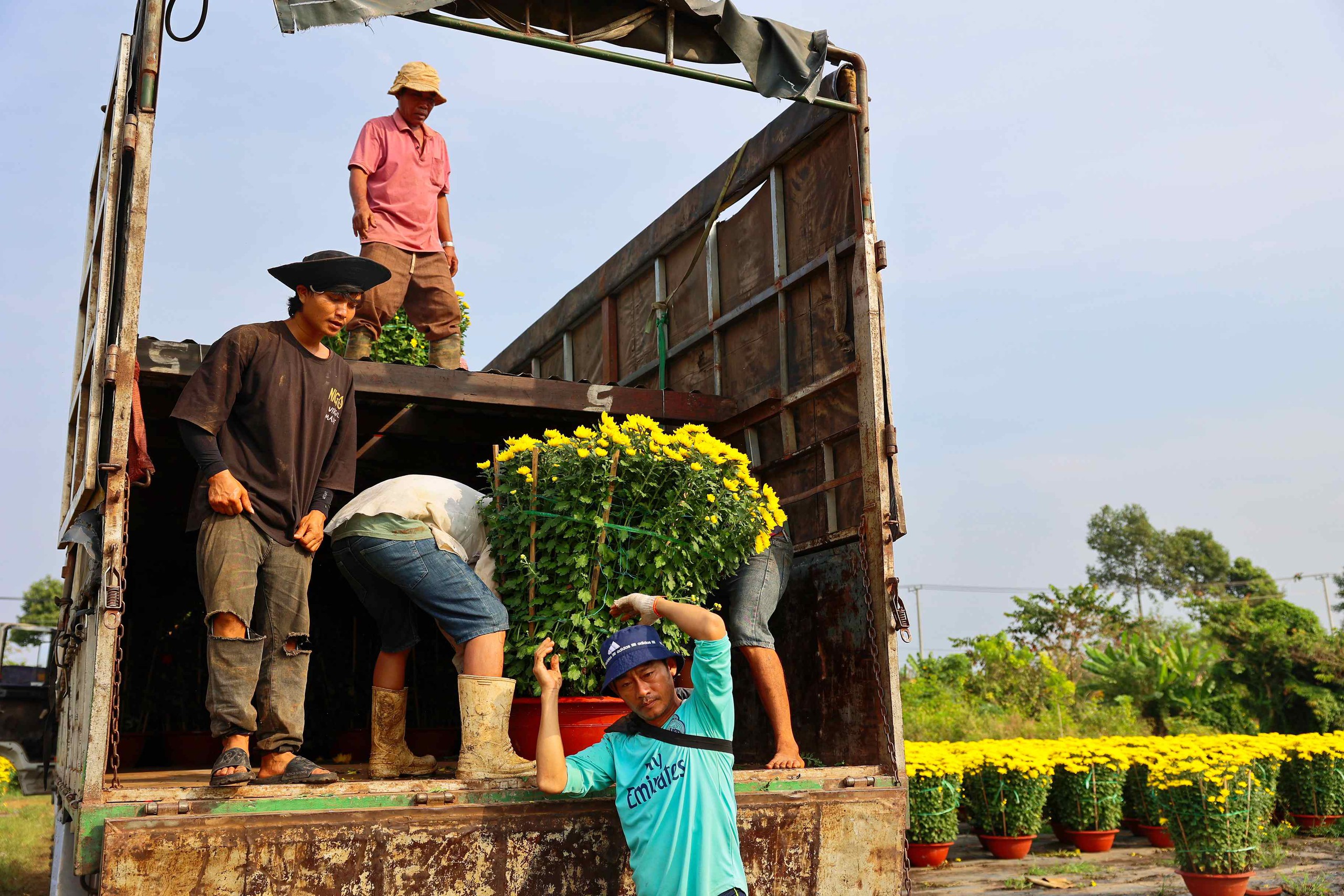 Hoa Tết v&agrave;o m&ugrave;a cao điểm: Rộn r&agrave;ng xe hoa, thấp thỏm nỗi lo - Ảnh 2.