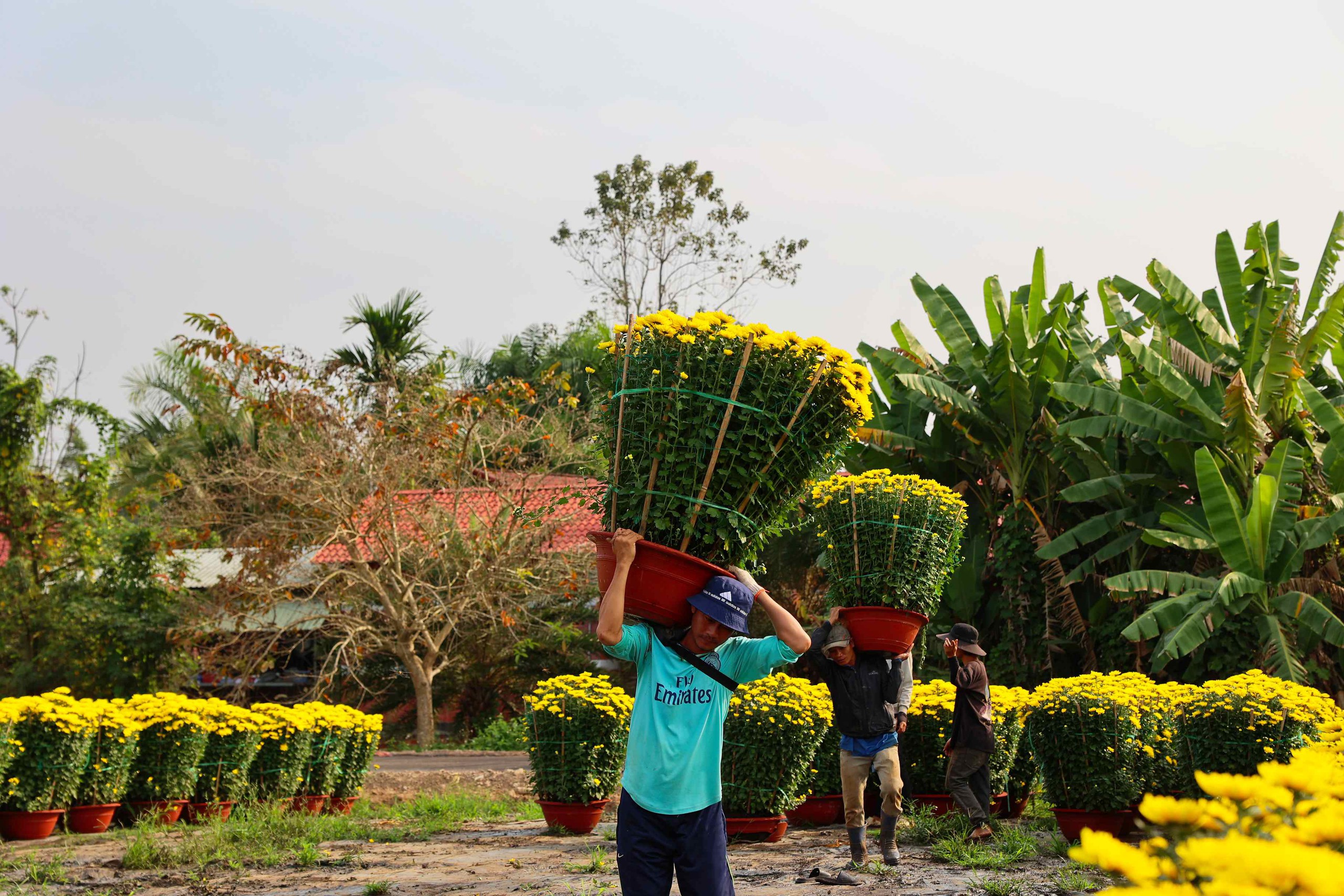 Hoa Tết v&agrave;o m&ugrave;a cao điểm: Rộn r&agrave;ng xe hoa, thấp thỏm nỗi lo - Ảnh 3.