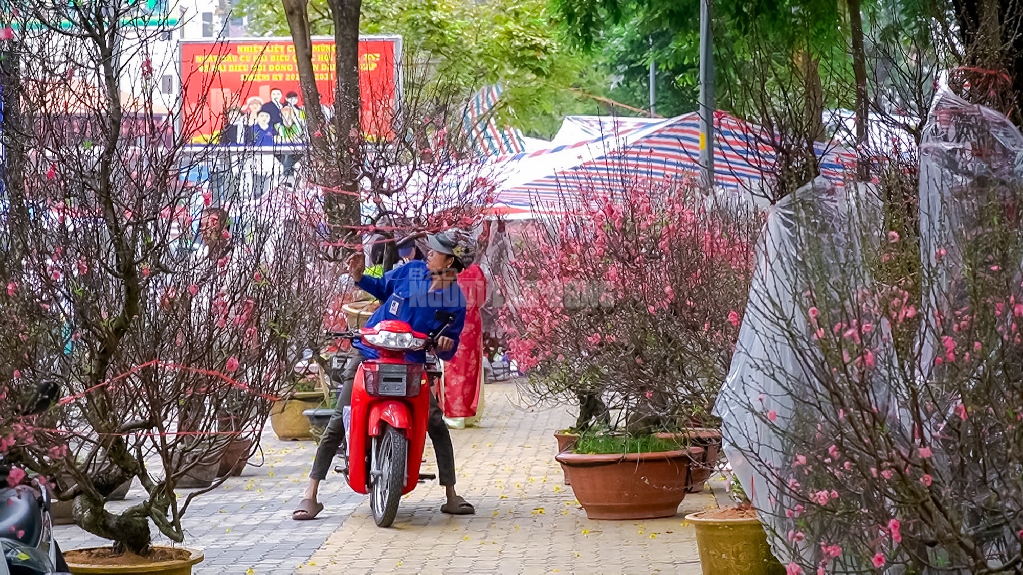  - Ảnh 14.