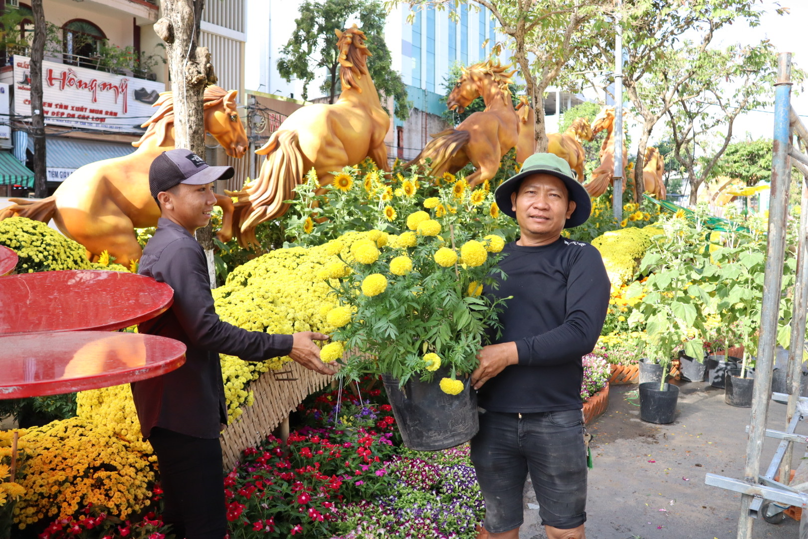 CLIP: Chi&ecirc;m ngưỡng cụm linh vật ngựa tại đường hoa nghệ thuật Cần Thơ - Ảnh 9.
