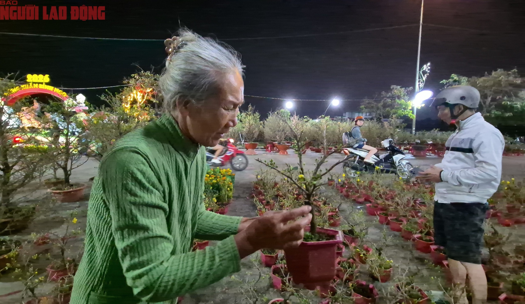 Chợ hoa Tết Bình Điền 2026: Không gian giao thương kinh tế đặc sắc - Ảnh 2.
