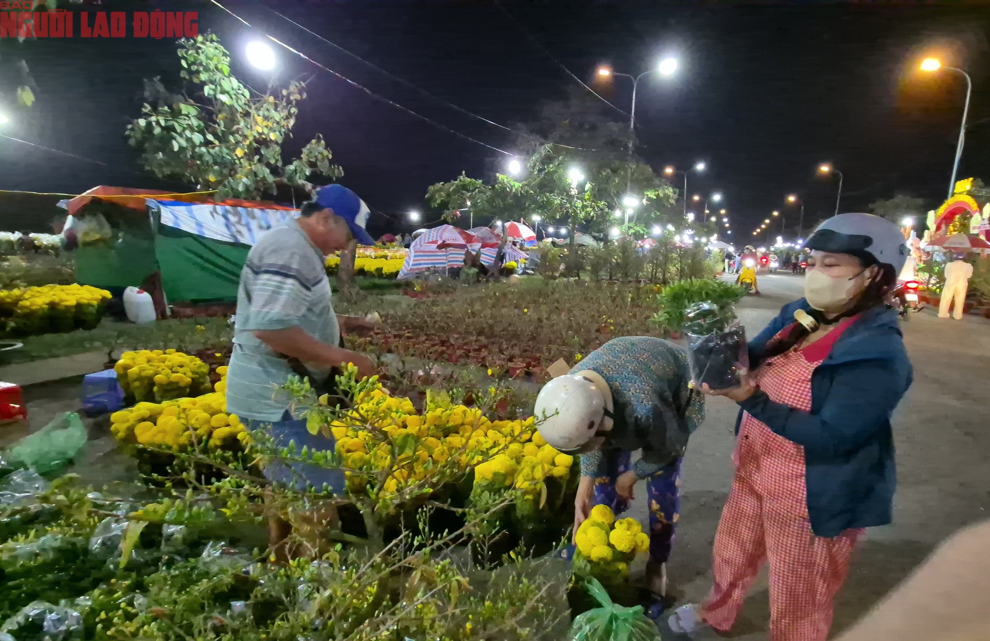 Chợ hoa Tết Bình Điền 2026: Không gian giao thương kinh tế đặc sắc - Ảnh 3.