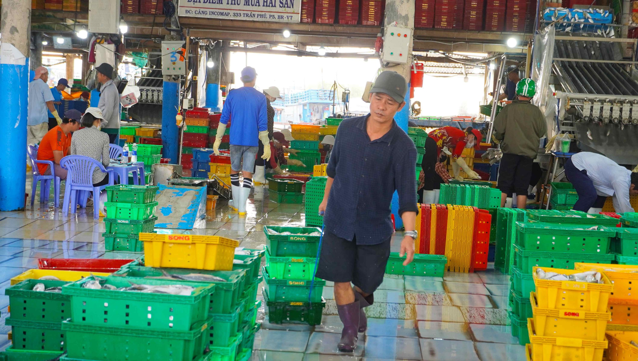 Ngư d&acirc;n TPHCM phấn khởi với chuyến biển cuối năm 2026 - Ảnh 9.