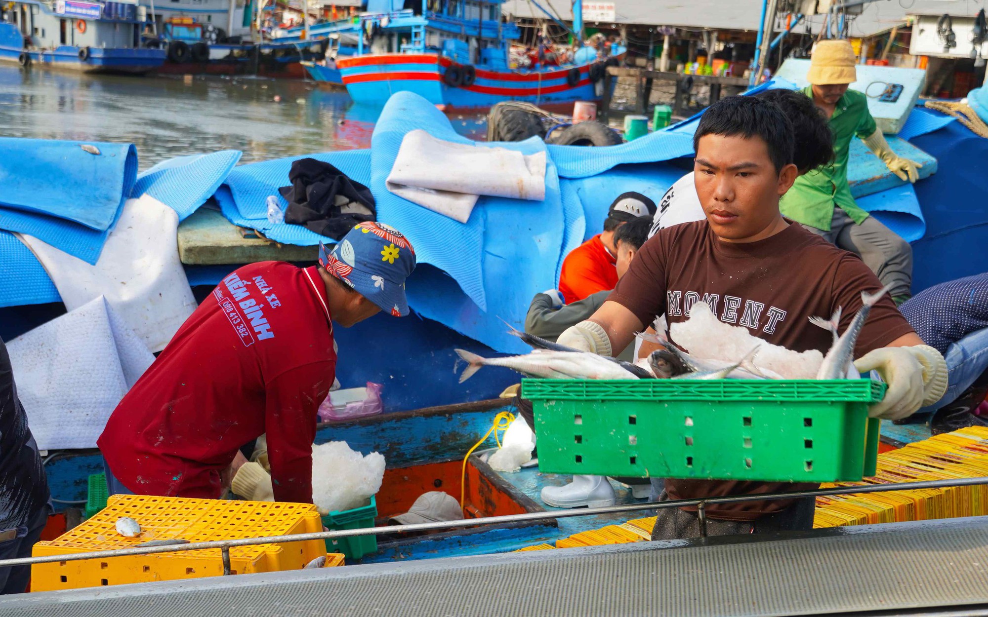 Ngư dân TPHCM phấn khởi với chuyến biển cuối năm