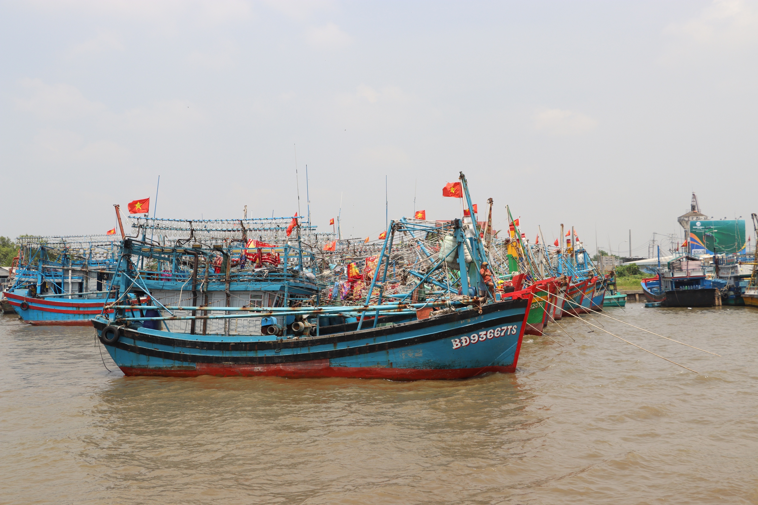 Ngư dân ở cửa biển lớn nhất miền Tây phấn khởi đón Tết - Ảnh 5.