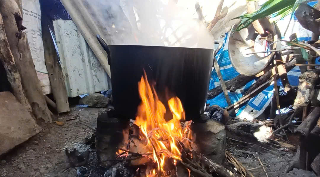 - Ảnh 12.