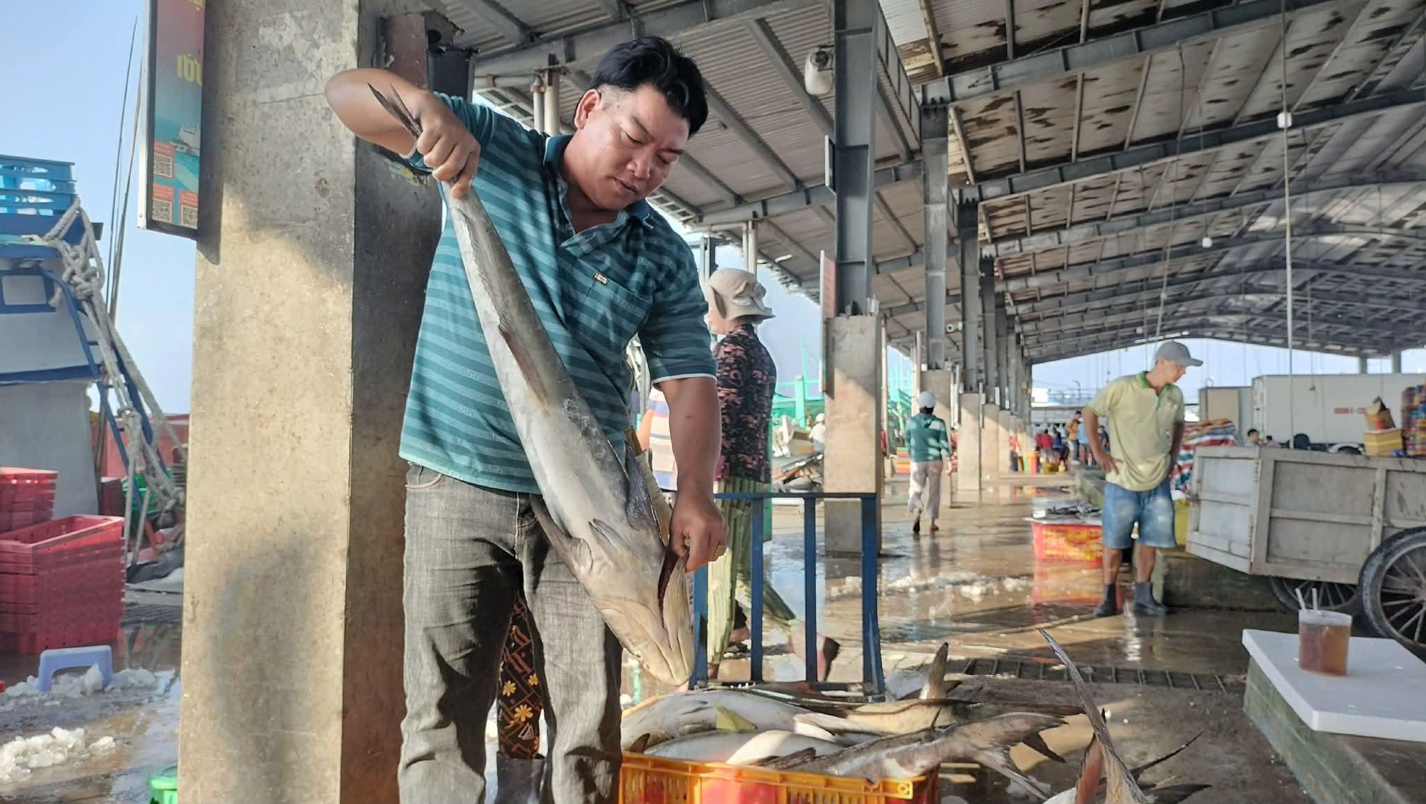 Ngư dân ở cửa biển lớn nhất miền Tây phấn khởi đón Tết - Ảnh 1.