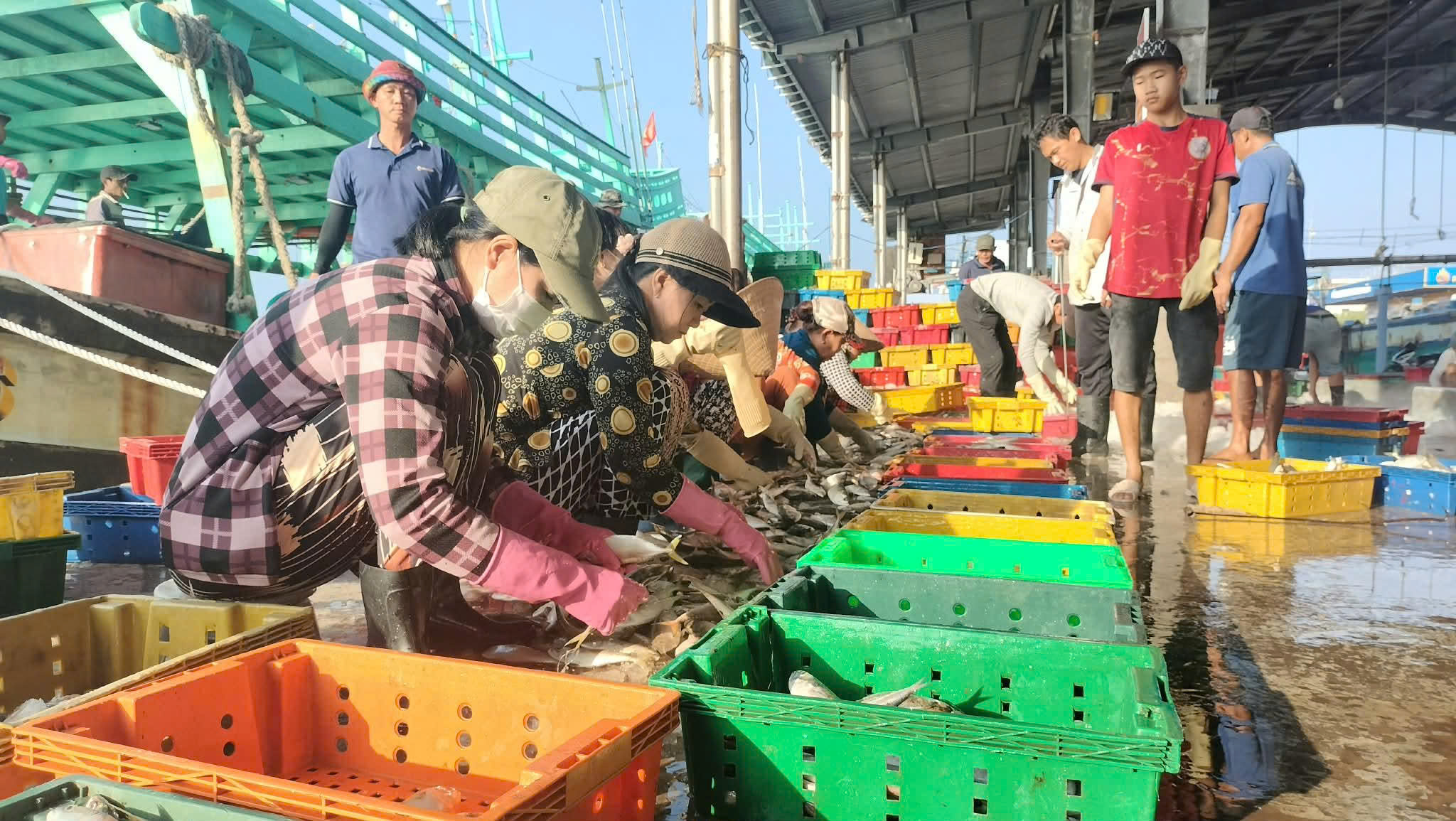 Ngư dân ở cửa biển lớn nhất miền Tây phấn khởi đón Tết - Ảnh 2.
