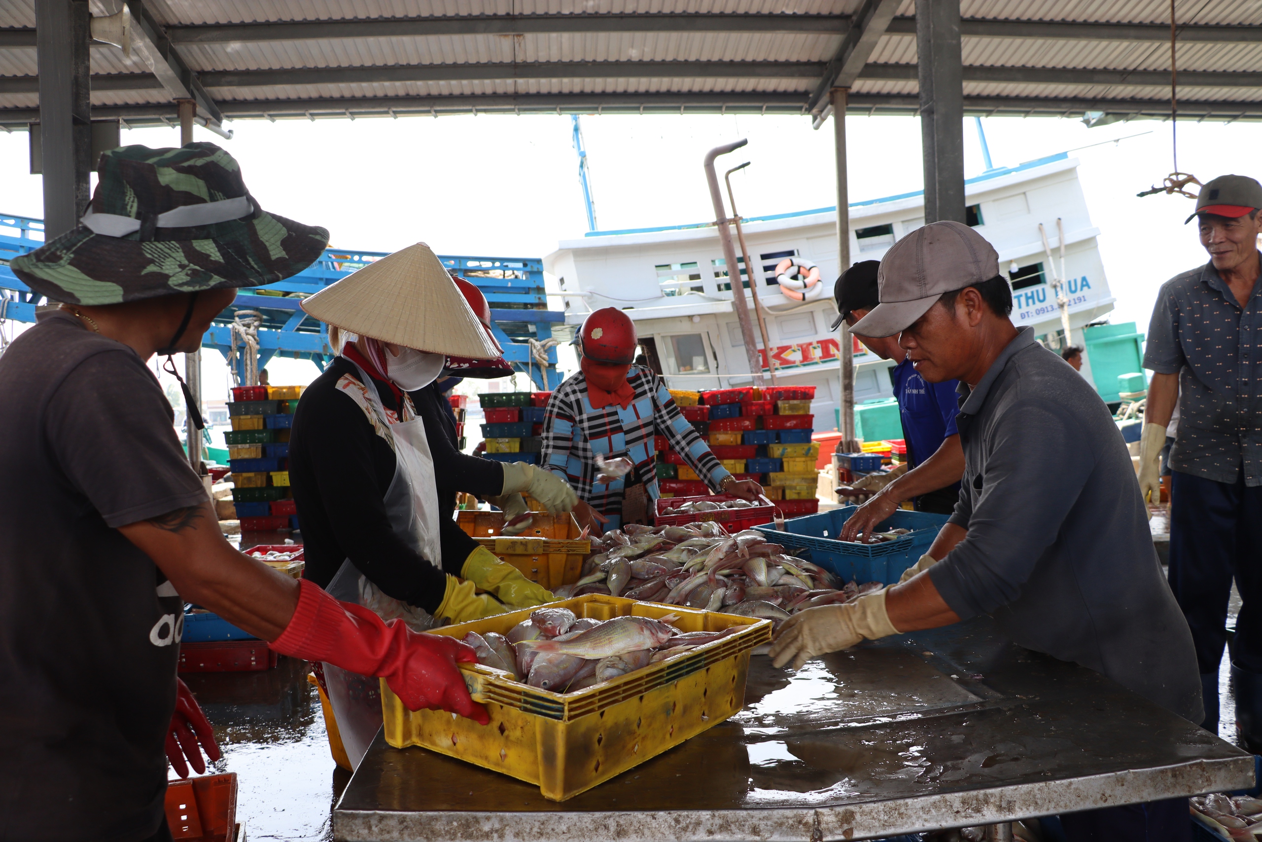 Ngư dân ở cửa biển lớn nhất miền Tây phấn khởi đón Tết - Ảnh 3.