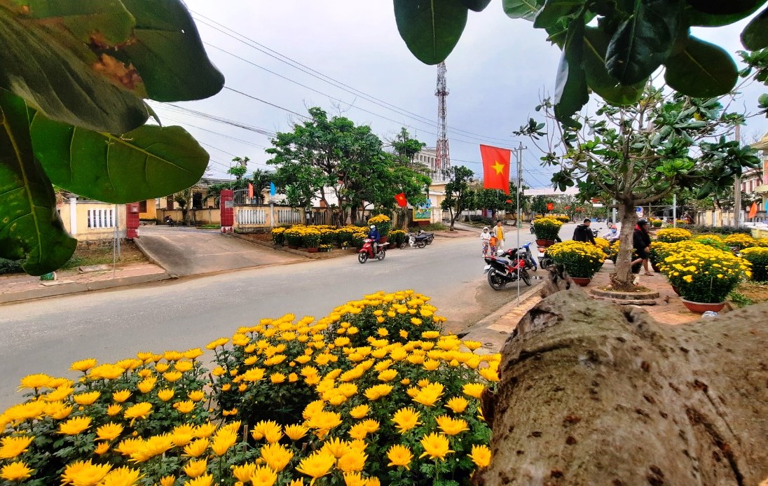 Tấp nập "chở Tết" ra đặc khu Lý Sơn - Ảnh 8.