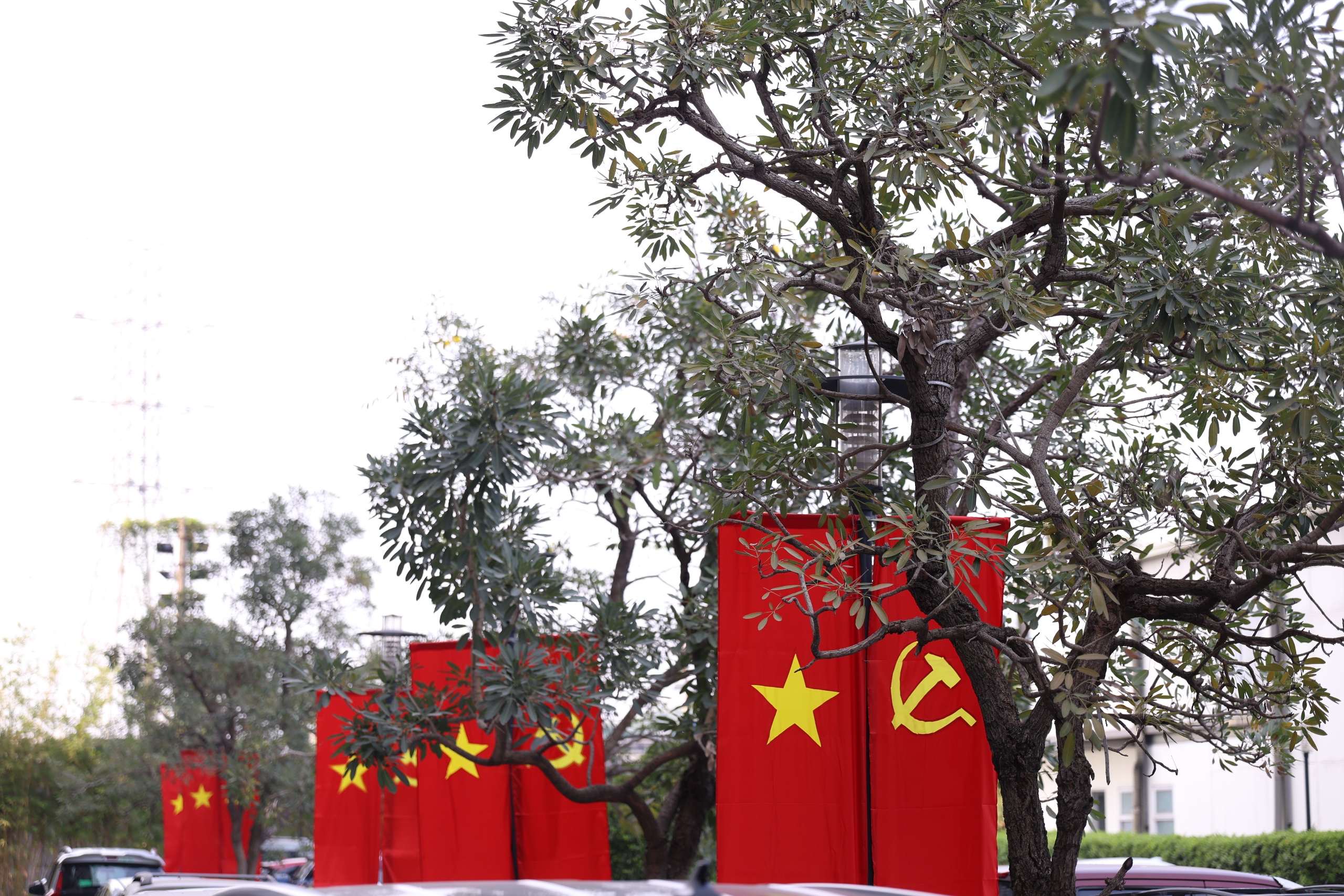 Xuân trong từng con hẻm ở TPHCM - Ảnh 14.