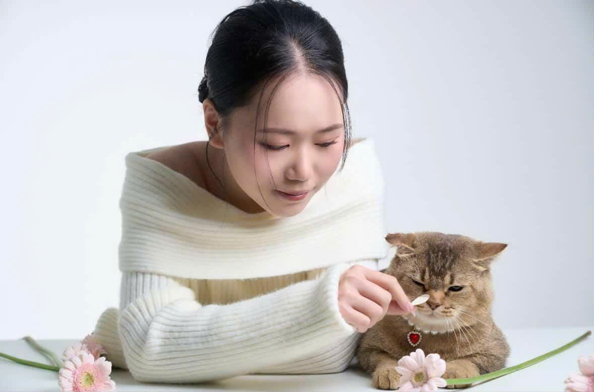 Kh&aacute;ch sạn ch&oacute; m&egrave;o "ch&aacute;y ph&ograve;ng" dịp Tết , chủ chi tiền triệu gửi th&uacute; cưng - Ảnh 1.