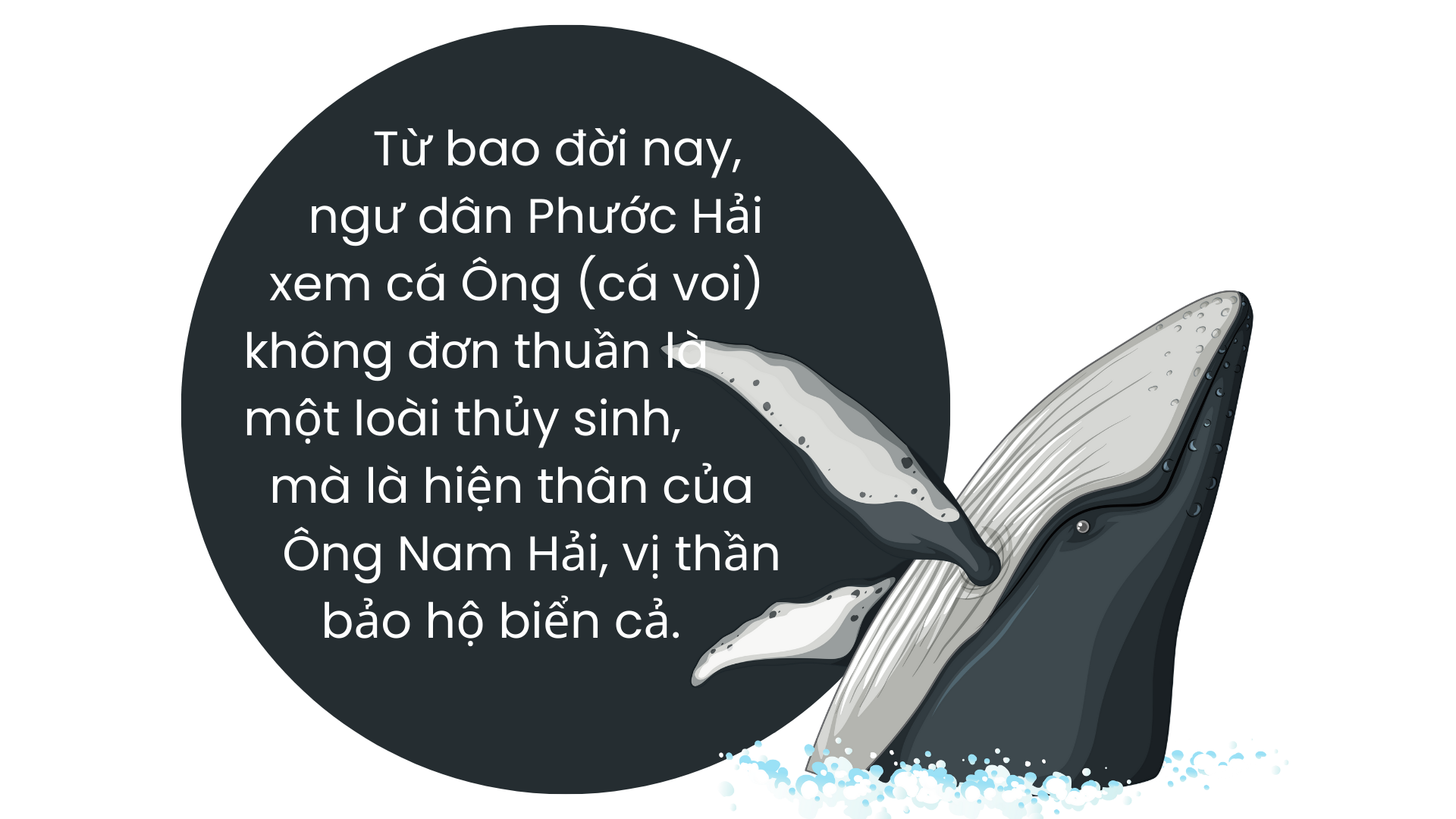 Chuyện ở nghĩa địa cá Ông lớn nhất Việt Nam - Ảnh 1.