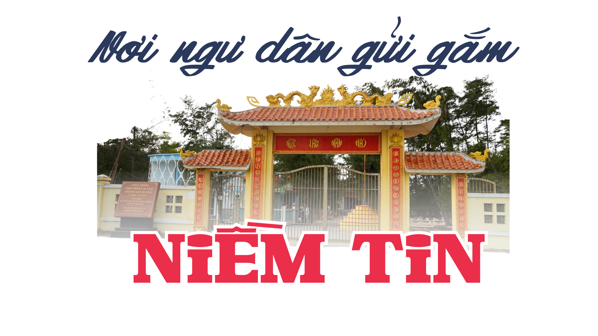 Chuyện ở nghĩa địa cá Ông lớn nhất Việt Nam - Ảnh 15.
