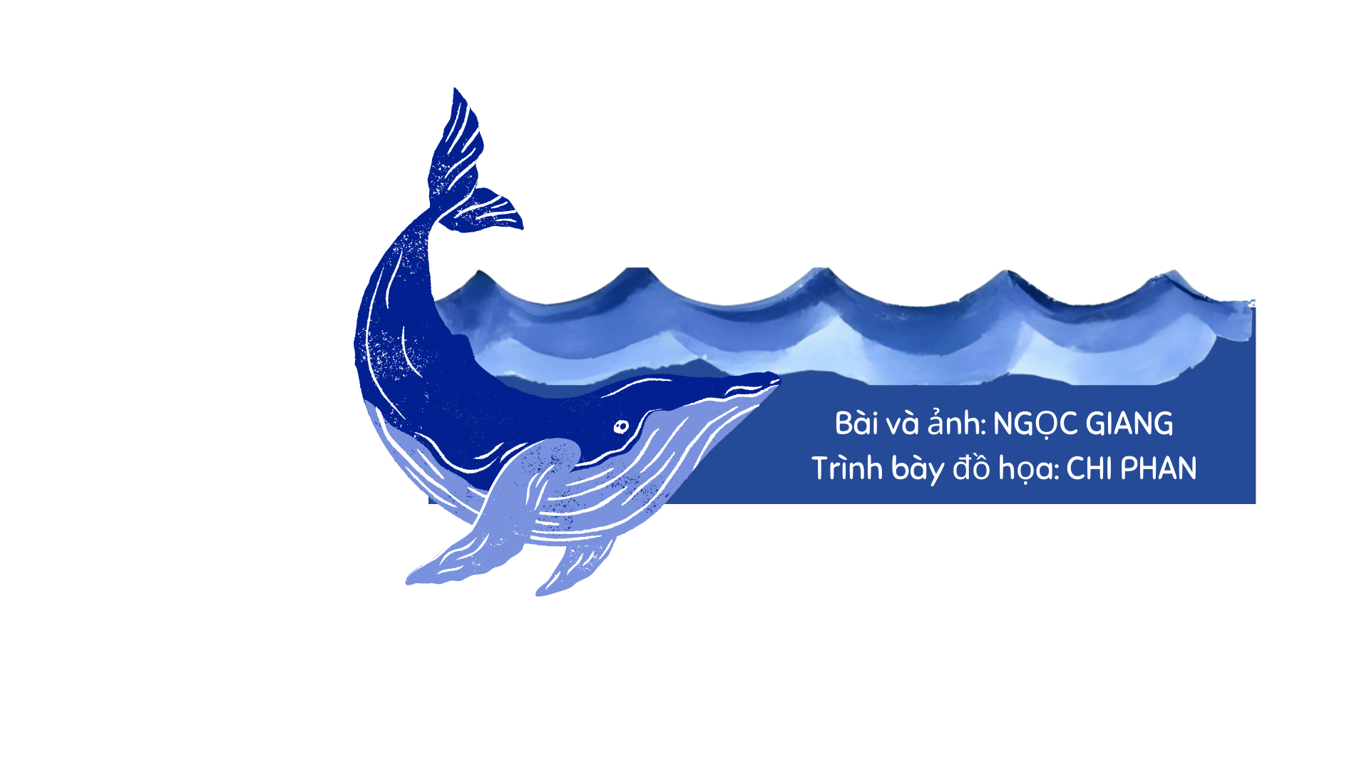 Chuyện ở nghĩa địa cá Ông lớn nhất Việt Nam - Ảnh 26.