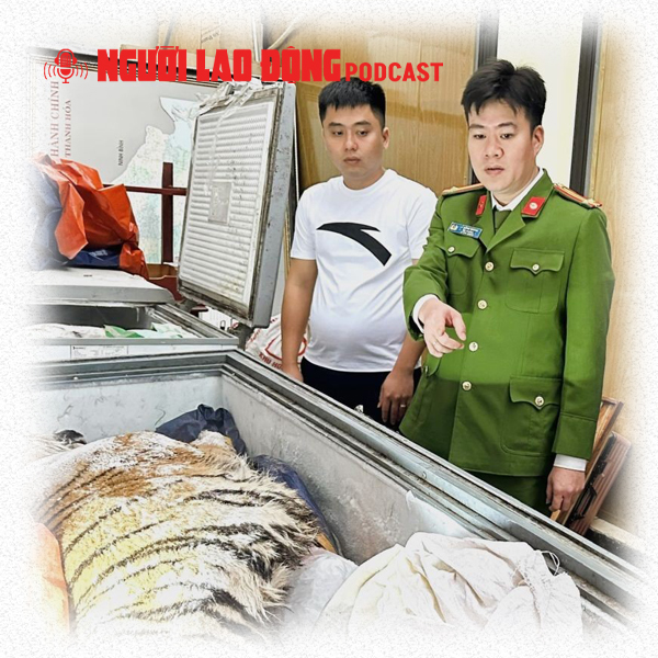 Mua hổ cấp đông giá gần 2 tỉ đồng để nấu cao