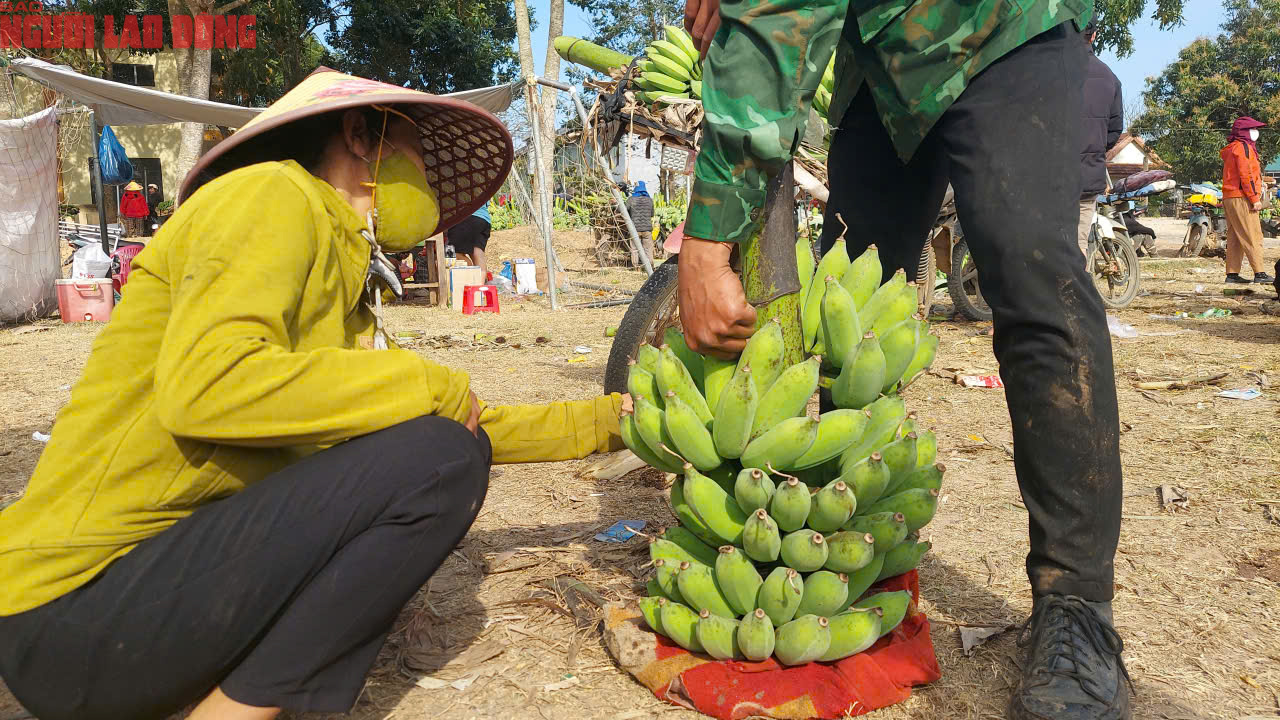 Về điểm tập kết mới, chợ chuối mật mốc ở Quảng Trị hoạt động ra sao trong dịp cận Tết? - Ảnh 8.