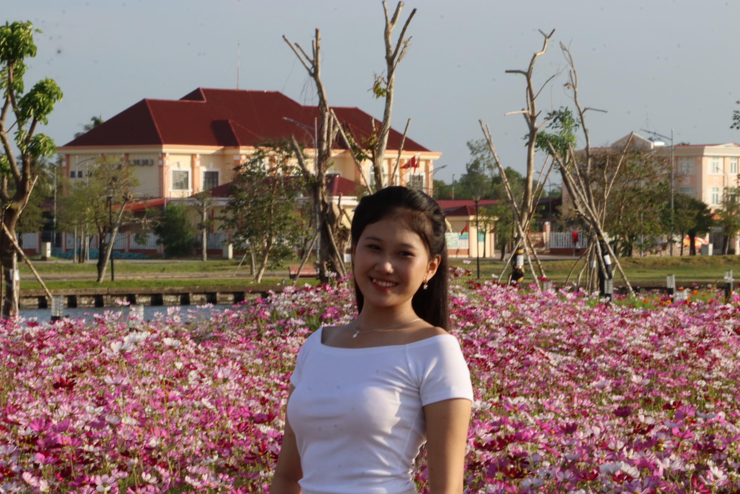 VIDEO: Cánh đồng hoa sao nhái tuyệt đẹp ở Cà Mau - Ảnh 6.