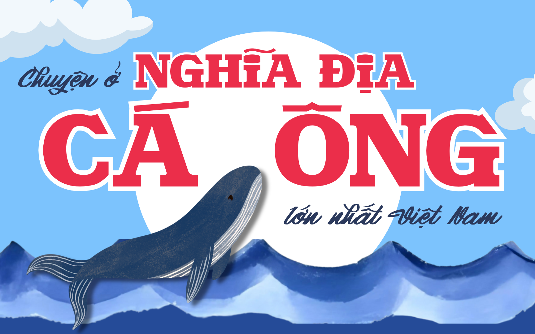 Chuyện ở nghĩa địa cá Ông lớn nhất Việt Nam