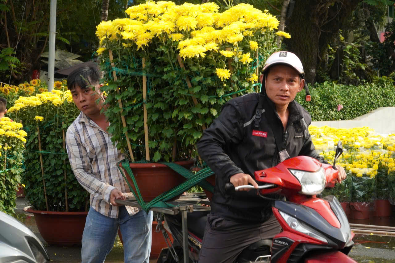 Mang Tết về nhà từ những chợ hoa công viên - Ảnh 2.