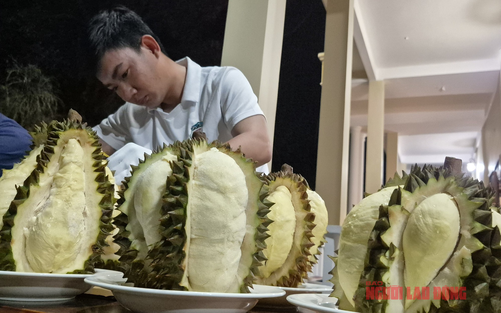 Cú lội ngược dòng của sầu riêng Việt