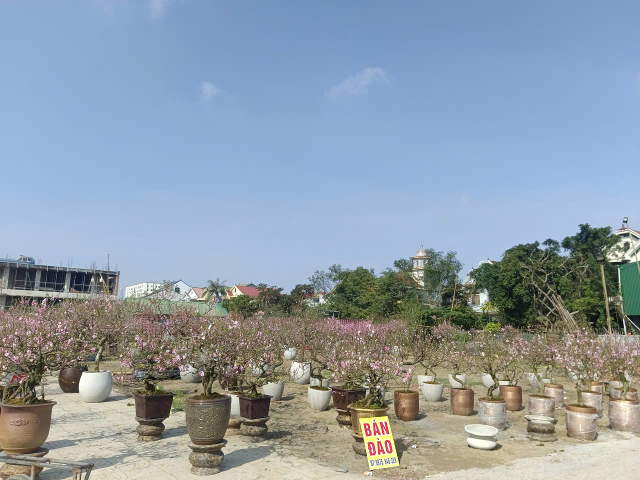  - Ảnh 5.