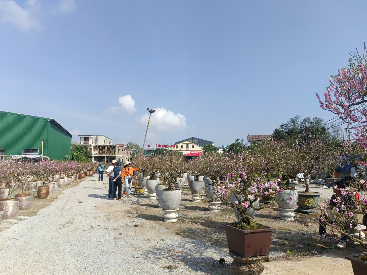  - Ảnh 6.