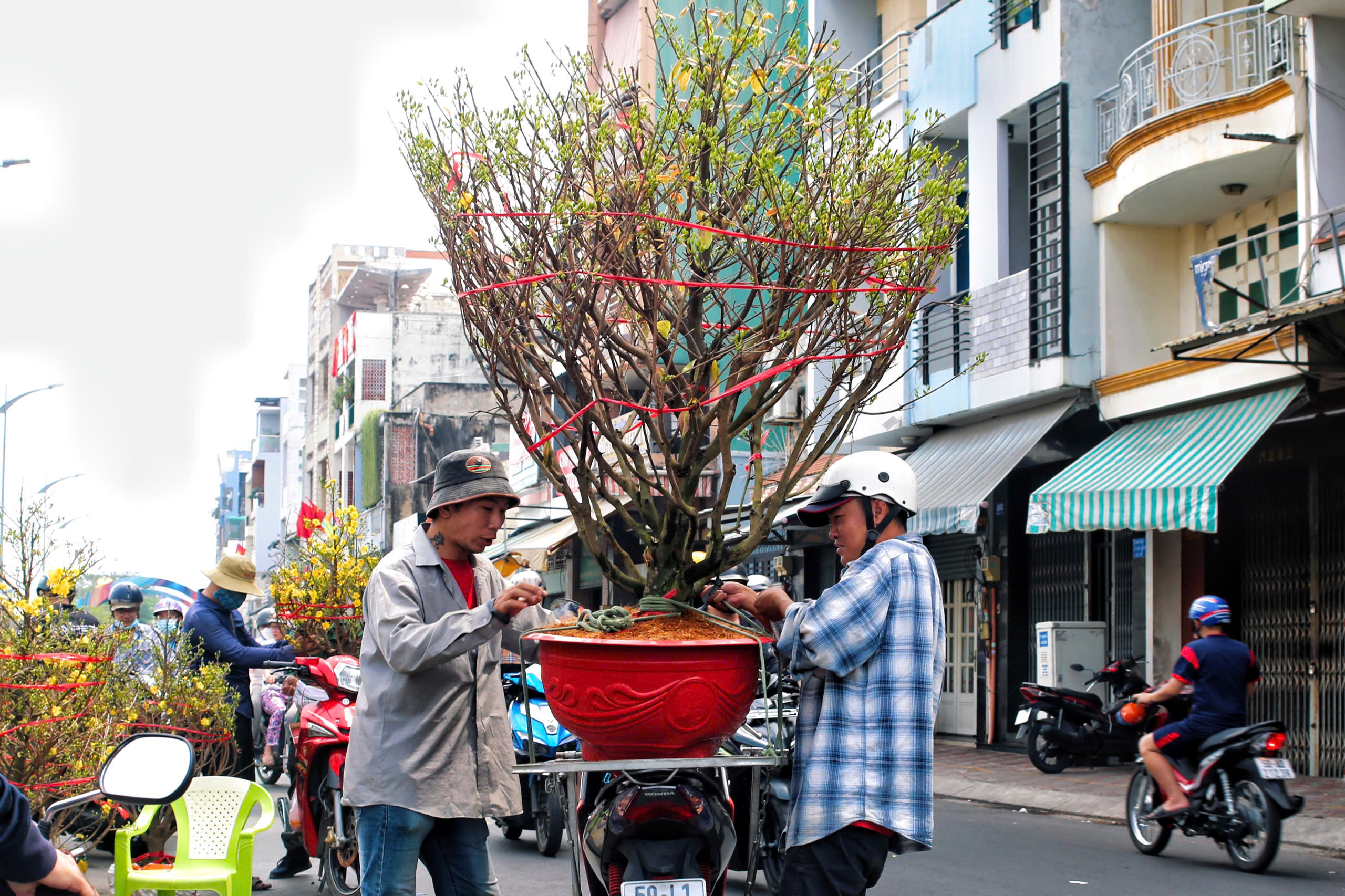Chợ hoa Tết TPHCM: Kh&ocirc;ng gian văn h&oacute;a xu&acirc;n - Ảnh 6.