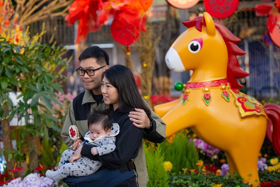 Thế giới tưng bừng đ&oacute;n Tết B&iacute;nh Ngọ  - Ảnh 8.