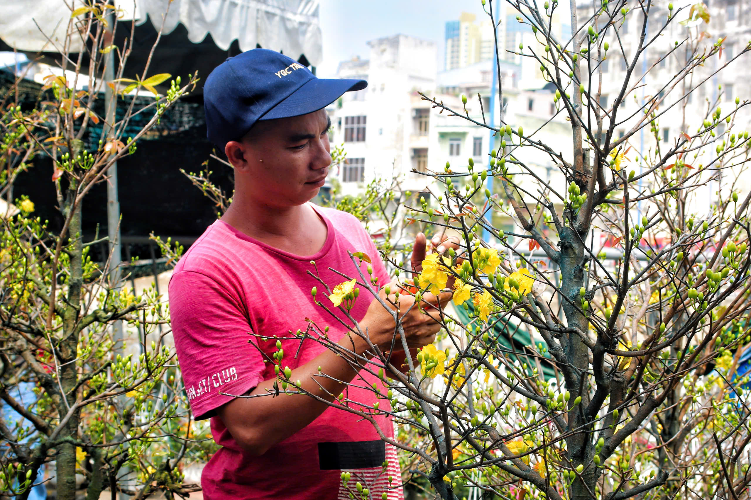 Chợ hoa Tết TPHCM: Kh&ocirc;ng gian văn h&oacute;a xu&acirc;n - Ảnh 4.