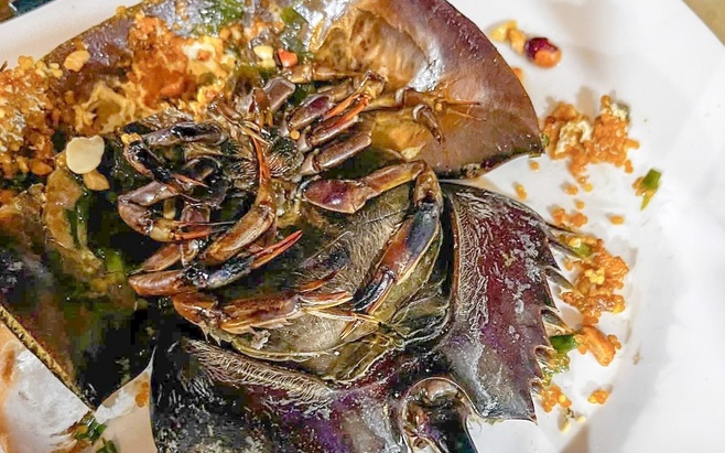Ăn sò, ốc, sam, nhiều người nghi ngộ độc phải cấp cứu