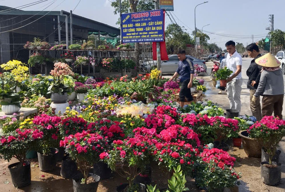 Làng hoa rực rỡ sắc xuân trong những ngày giáp Tết Nguyên đán - Ảnh 2.