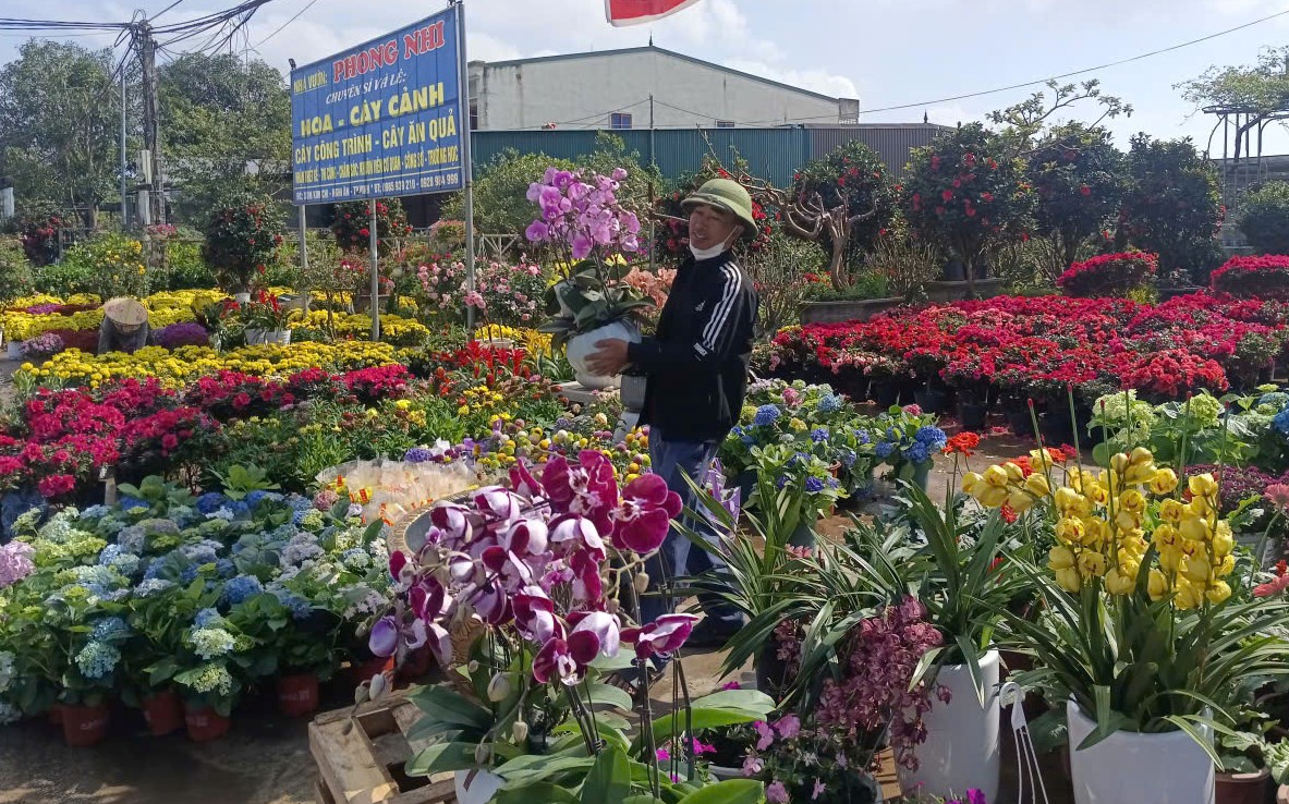 Làng hoa rực rỡ sắc xuân trong những ngày giáp Tết Nguyên đán - Ảnh 6.