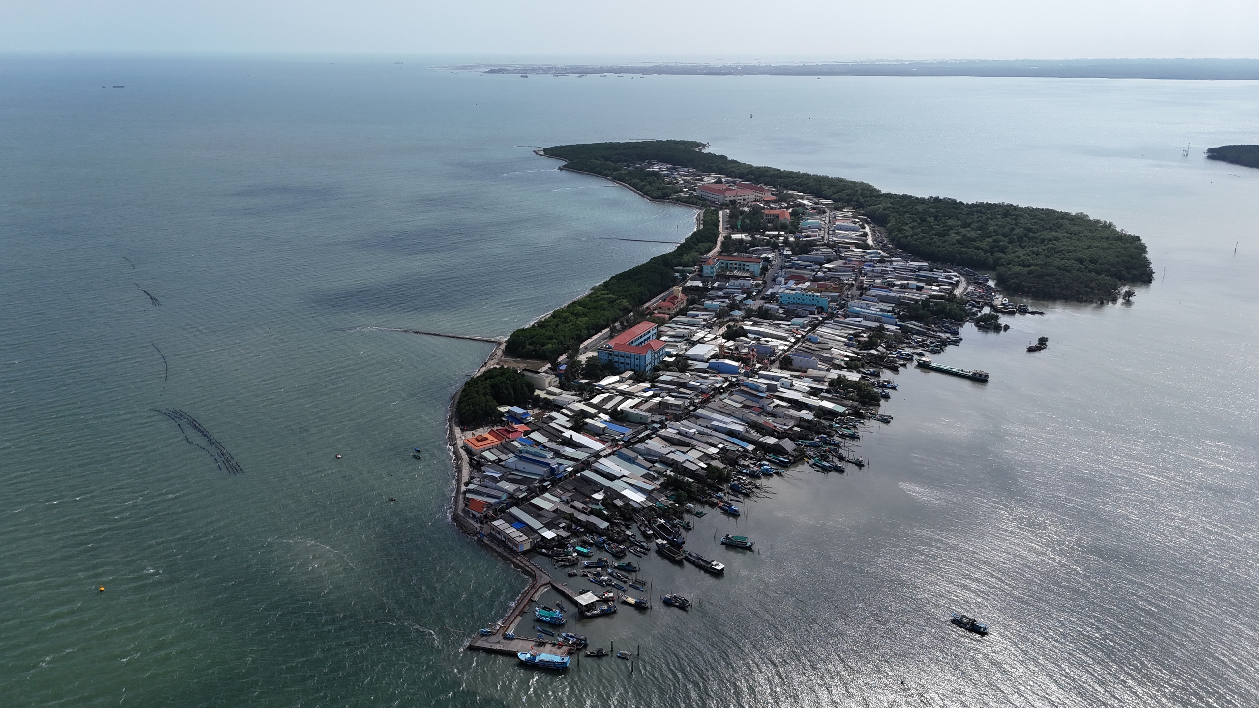 Xuân về trên xã đảo Thạnh An: Niềm vui của chiến sĩ biên phòng 2026 - Ảnh 6.