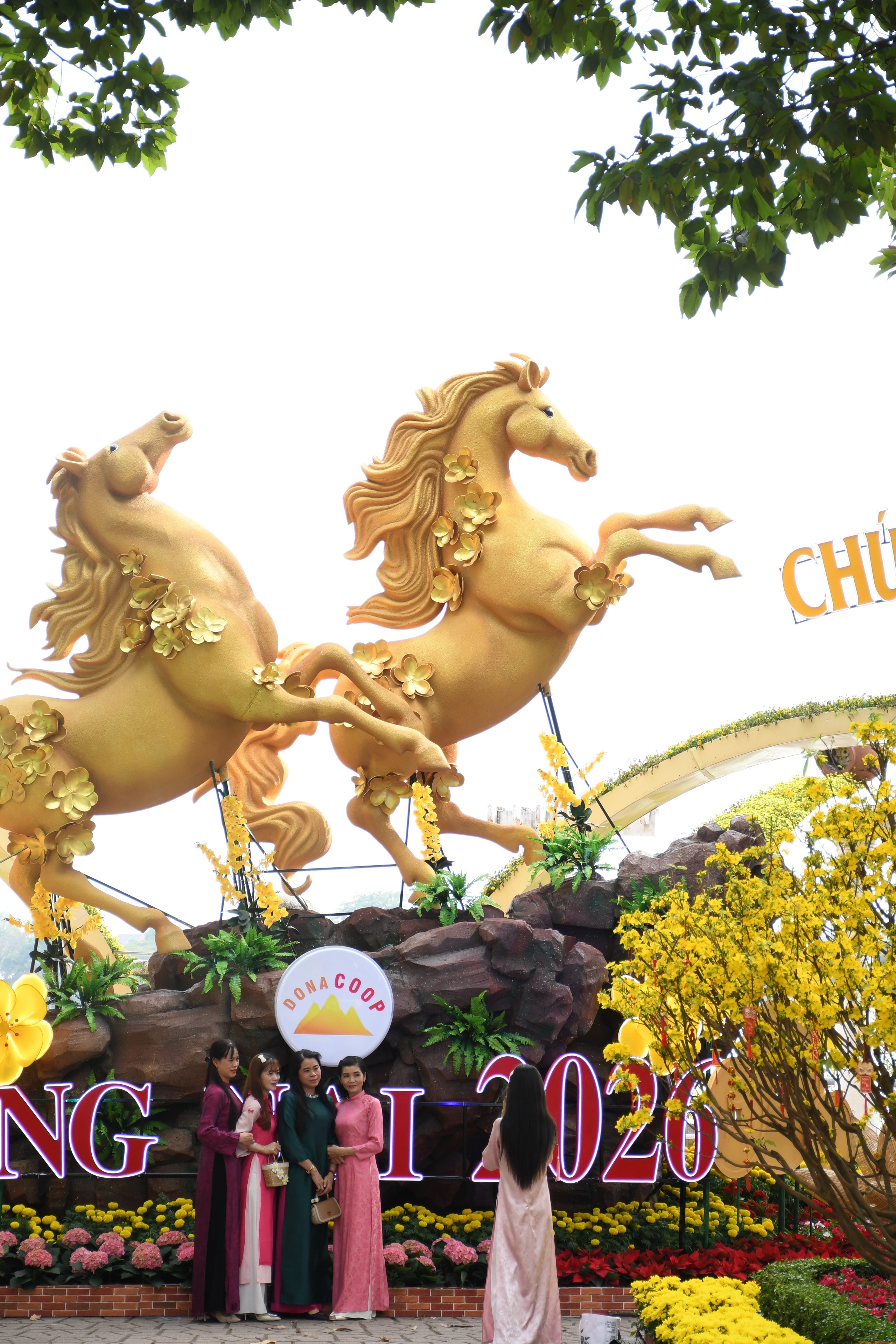 Cận cảnh đường hoa ven sông Đồng Nai 'vạn người mê' - Ảnh 1.