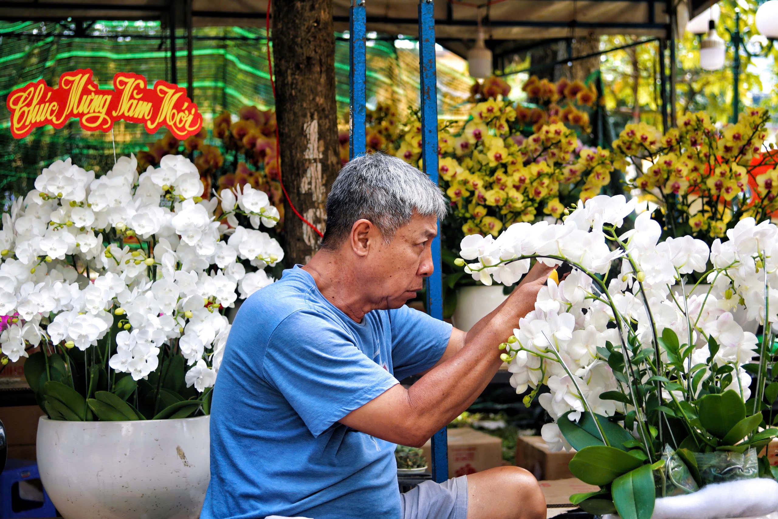 Chợ hoa Tết TPHCM: Kh&ocirc;ng gian văn h&oacute;a xu&acirc;n - Ảnh 3.