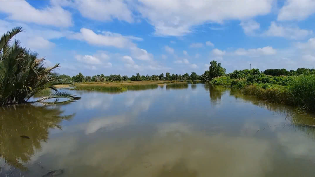 VIDEO: Đặt hầm bắt c&aacute; l&oacute;c "chạy mặn" ăn Tết - Ảnh 1.