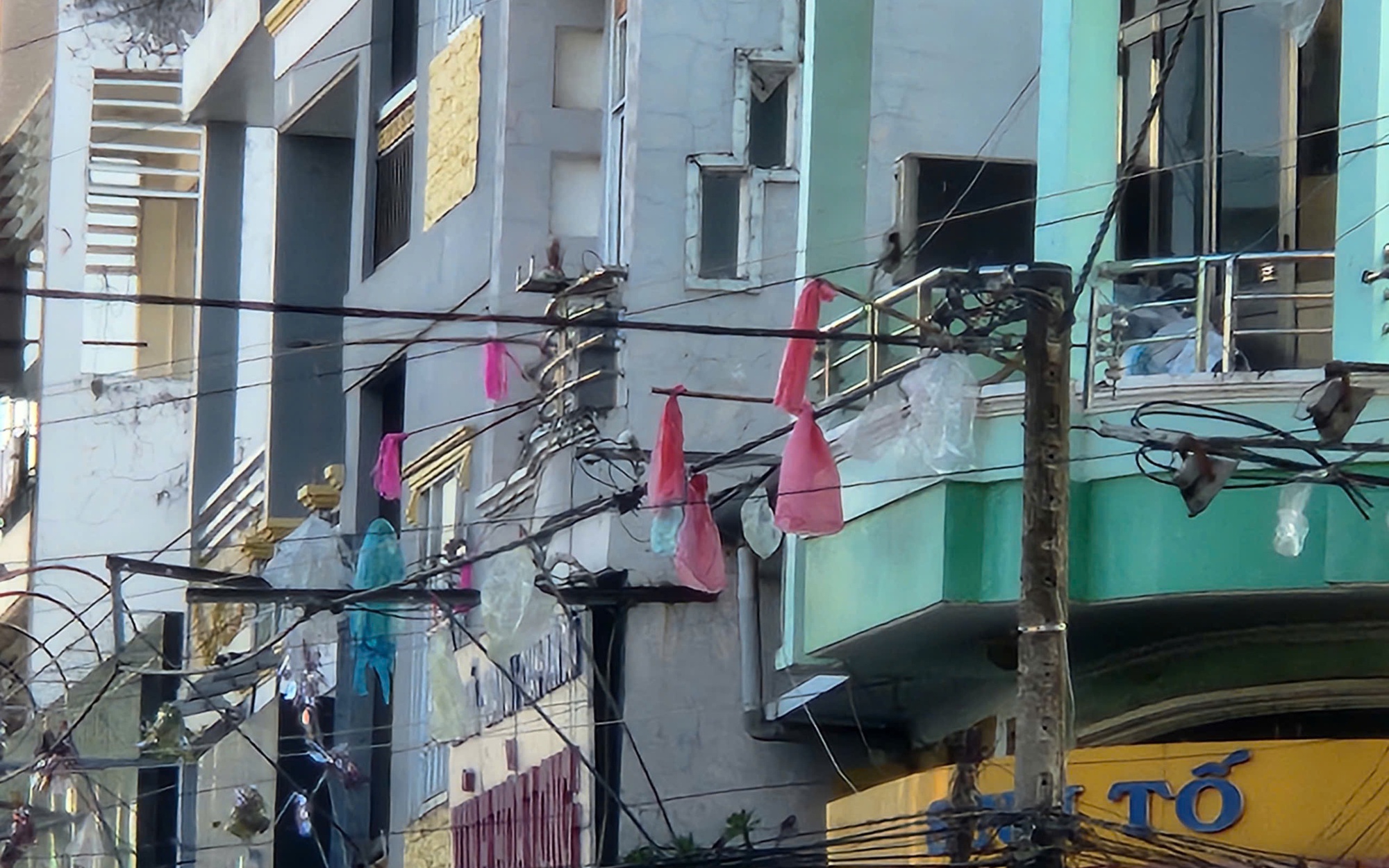 Cách đối phó hàng ngàn con chim én ở Cần Thơ trú ngụ quá lâu