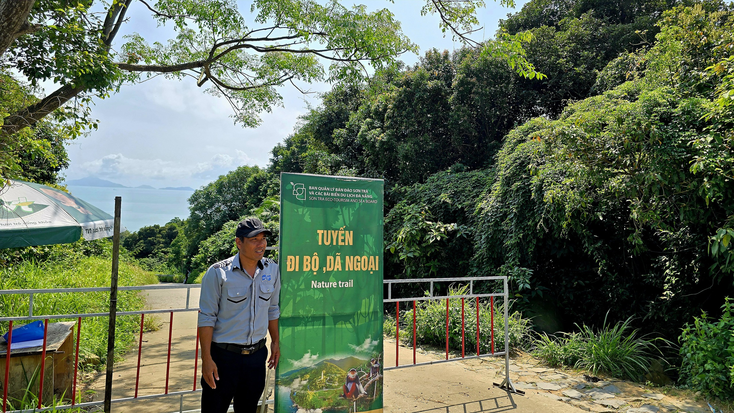 Dưới tán đa nghìn năm ở Sơn Trà, du khách nghe rừng "kể chuyện" - Ảnh 9.