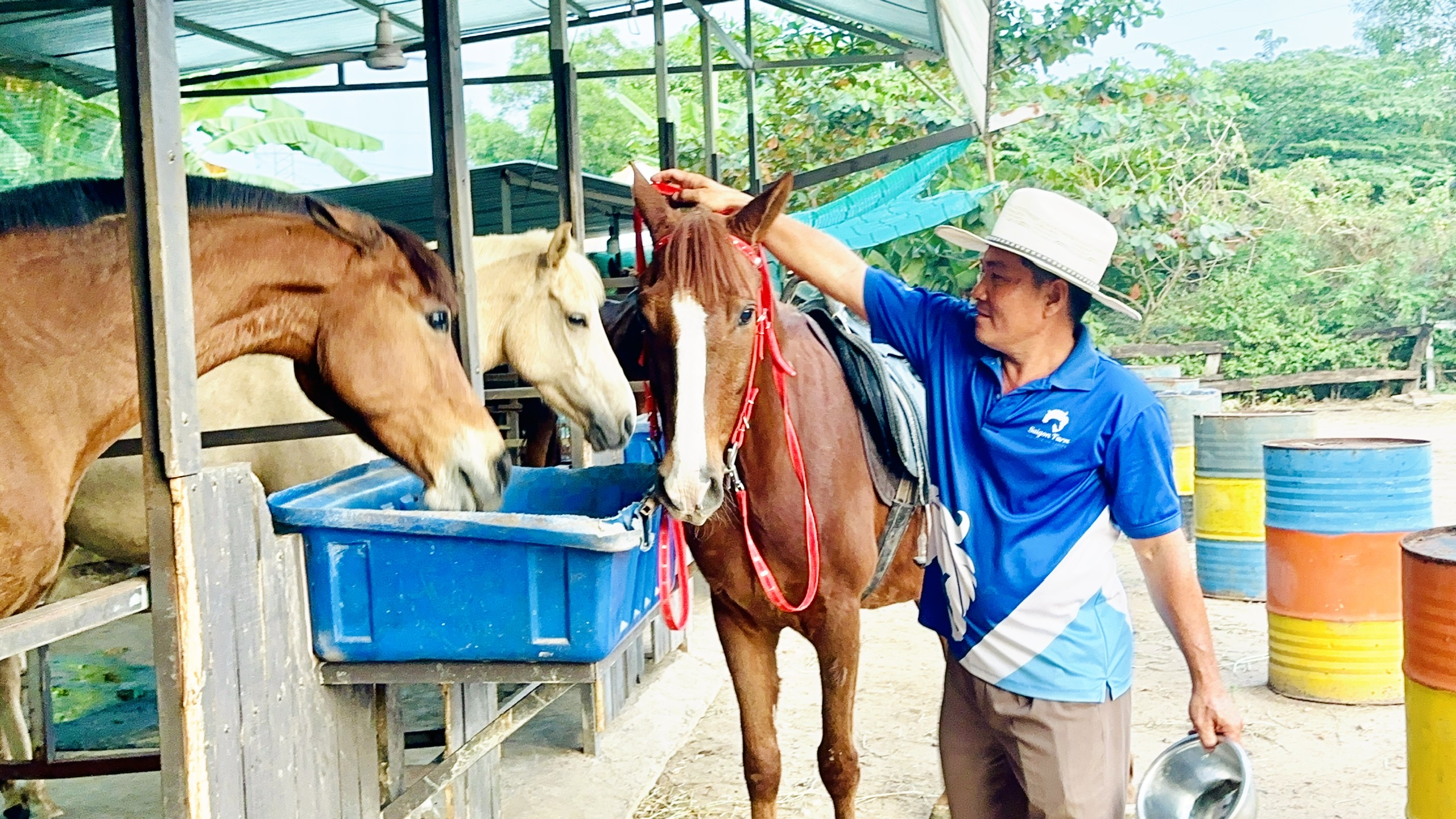 N&agrave;i ngựa L&ecirc; Tiến T&ocirc;ng: Đam m&ecirc; "thuần h&oacute;a" những ch&uacute; ngựa bất kham - Ảnh 1.