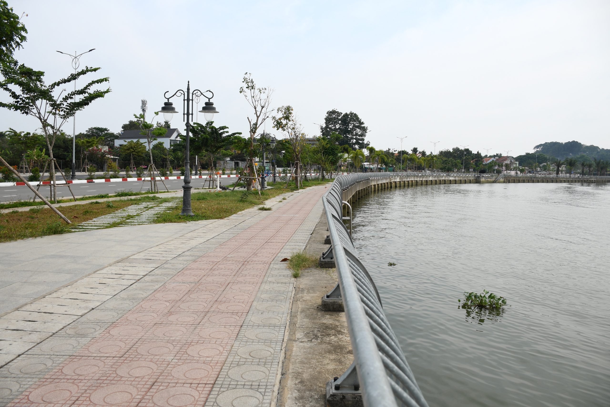 Cận cảnh con đường ven s&ocirc;ng Đồng Nai đẹp nhất năm 2026 - Ảnh 3.